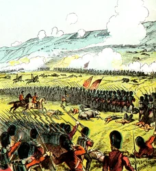 Az almai csata, 1854, 1850-es évek