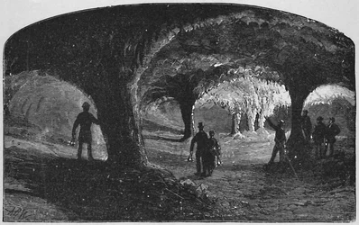 A templom, 1883