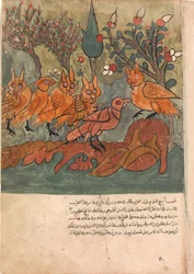 A varjúkém a baglyok királyával és minisztereivel beszélget, Folio egy Kalilából..., 18. század.