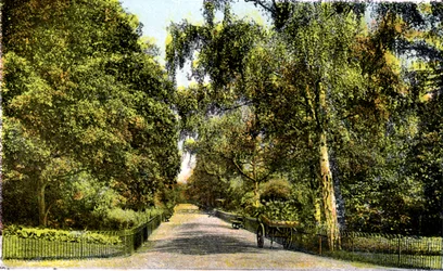 The Flower Walk, Kensington Gardens, London, XX. század