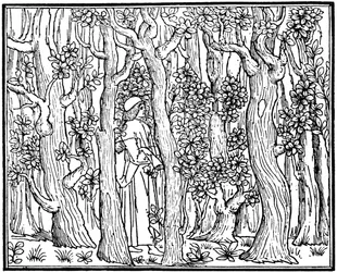 A szerető az erdőben, 1499, 1964