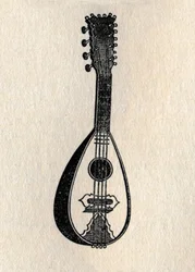 A mandolin, 1895.