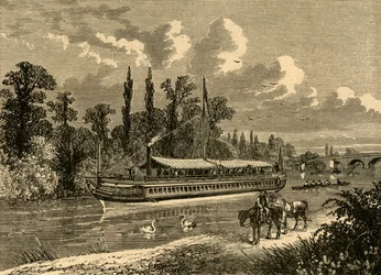 A Mária-erdő, 1876, 1897.