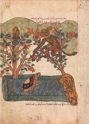 A majom a fügefa biztonságába menekül, folio Kalila wa Dimnából, 18. század.