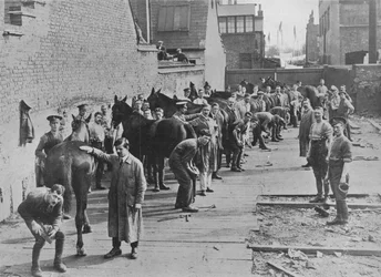 Az Új Hadsereg kiképzésben a Farriers Iskolában, 1915