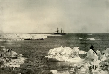 The Nimrod Lying Off The Penguin Rookery, c1908, 1909.