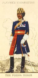 A Poona ló, 1936.