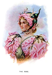 A rózsa, 1899