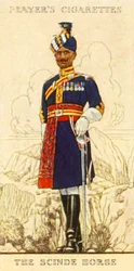 A Scinde ló, 1936.