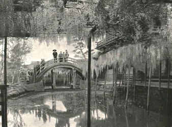 Te New Ginoike Pon d Plan d Wisteria, Kameido, Toi, Japán, 1895.