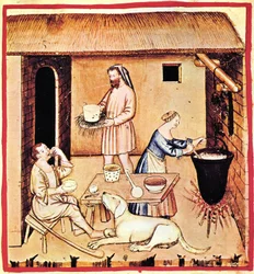 A sajt gyártása. Miniatűr a Tacuinum Sanitatisból, 14. század második fele.