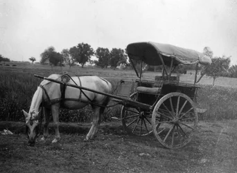 Tonga lovaskocsi, Muttra, India, 1917