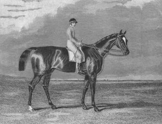 próbakő, 1831-1861, 1911
