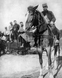 Szállítás az Argonne-erdőben, Franciaország, 1915