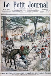Erdőtüzet megfékezni próbáló csapatok, Algéria, 1904