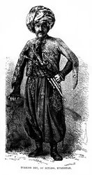 Török bég, Bitless, Kurdisztán, 19. század