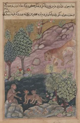 Tuti-Nama Mesék egy papagájról: XXIX. mese, Az oroszlán visszatér a területére és lát, c. 1560.
