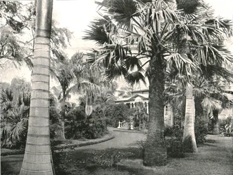 Tipikus hawaii udvar, Honolulu, USA, 1895.