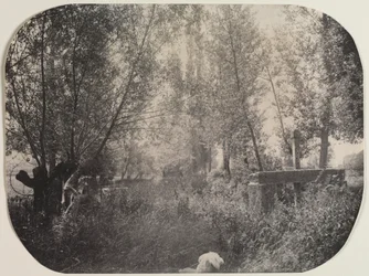 Untitled Táj kutyával, c. 1910.