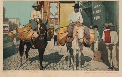 Vegetable Men, Havanna, Kuba, 1904