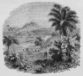 Nézd meg Cayenne-ben, 1880