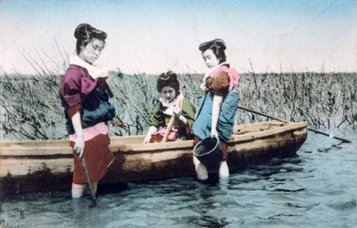 Vintage francia képeslap, c1900