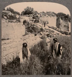 Augustus falai, Samaria, 1900