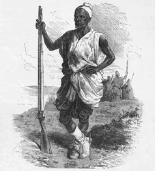 Elmina harcosa, 1880