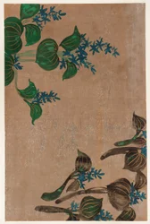 Kék virágú vízinövények, Edo-korszak, 1615-1868.