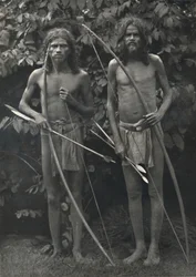 Wedda íjjal és nyilakkal, 1926