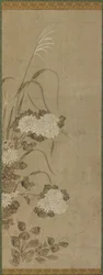 Fehér krizantém és pázsitfű, Edo-korszak, 1615-1868.