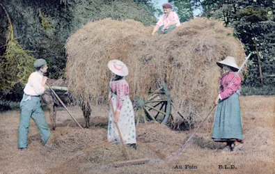 A szénával, c1900
