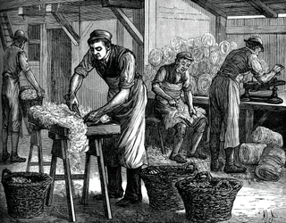 Gyapjúválogatók, c1880