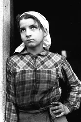Fiatal lány olajbogyó-szedőként dolgozik Calabriában, Olaszországban, 1955 körül (f/w fotó)