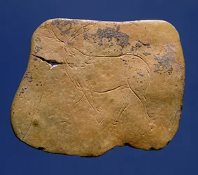 Rénszarvas, bekarcolt rajz mészkőre, paleolitikum, V. Magdalénia, Laugerie Basse-ból, Dordogne, ie 12000 körül