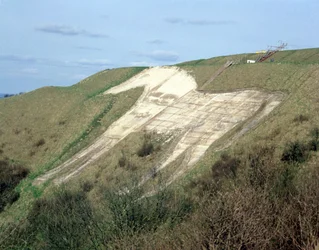A Westbury fehér ló