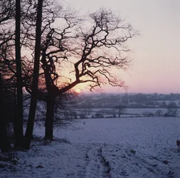 Téli jelenet a hóban, Hockley, Essex