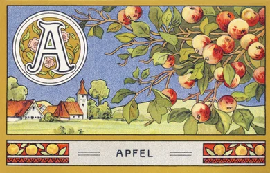 V: Apple - Alphabet Palmine. Kromolitográfiák sorozata, szerkesztette: H. Schlinck & Cie, Hamburg, p. d. . Palmin legfinomabb kókuszzsírjának reklámja. Méretek: 7 x 11 cm