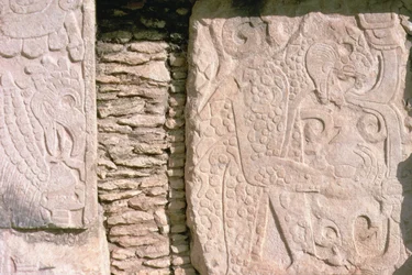 Bas relief, amely jaguárokat ábrázol, akik emberi szíveket tépnek ki áldozati áldozatokból (kő)