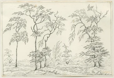 Cannock Chase: toll- és ceruzarajz, nd [?19. század]