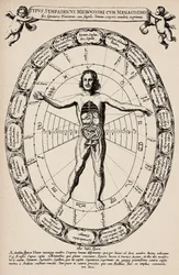 A mikrokozmosz és a makrokozmosz közötti megfelelés. Athanase Kircher (1601-1680) "Mundus subterraneus" című művéből vett lemez.