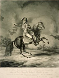 Wellington hercege a waterlooi csatában