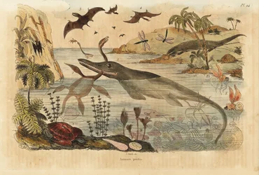 Kihalt dinoszauruszok, ichtioszauruszok, plesioszauruszok, tengeri állatok, pterodactyls, gyíkok, teknősök, rovarok, halak, tintahalak, puhatestűek stb.