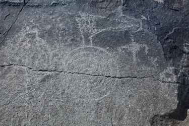 Indián sziklarajzok - Állati és szimbolikus ábrázolások - Petroglyph Nemzeti Emlékhely - Albuquerque, Új-Mexikó, USA (USA)