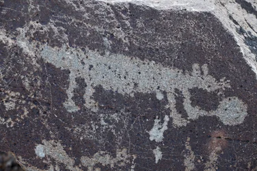 Állatokat ábrázoló indián sziklarajzok - Petroglyph Nemzeti Emlékhely - Albuquerque, Új-Mexikó, USA (USA)