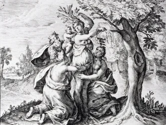 Mattei Ovidius metamorfózisaiban