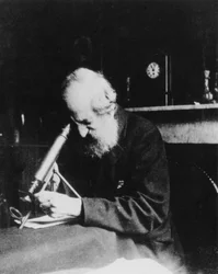 Mordecai Cubitt Cooke angol író és illusztrátor, 1900 körül