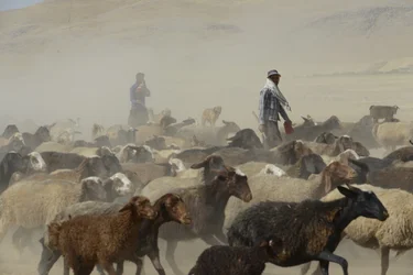 Nomád sátrak Tamar és Ashkhaneh között, Irán 2022 (fényképezés)