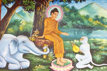 Preah Prom Rath kolostor Buddha élete Siddhartha Gautama az odaadó elefánttal és majommal, Siem Reap, Kambodzsa