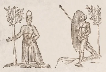 Rex Sinus Antongil és Miles Sinus Antongil